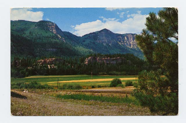 Post card image