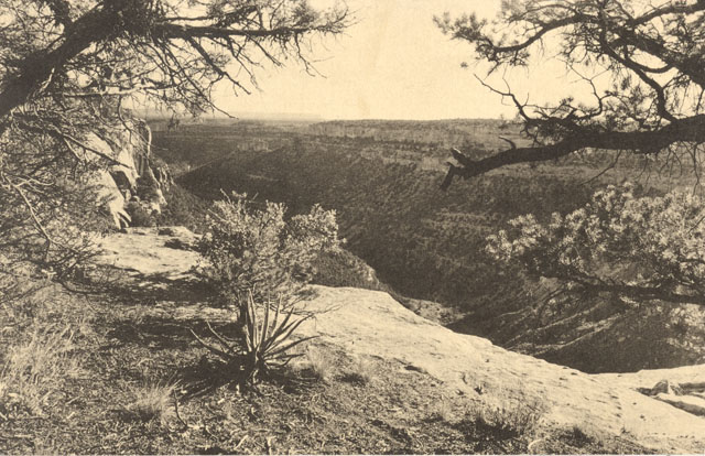 Post card image