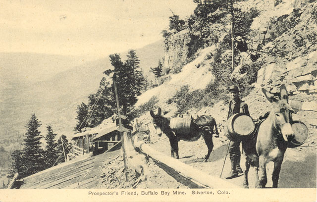 Post card image