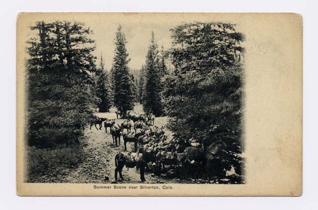 Post card image