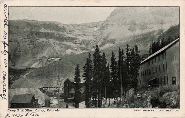 Post card image