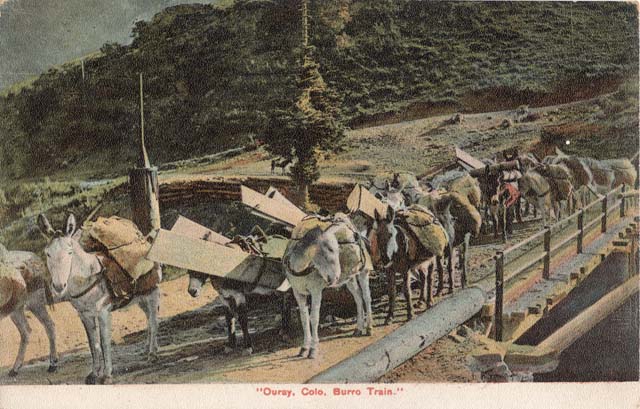 Post card image