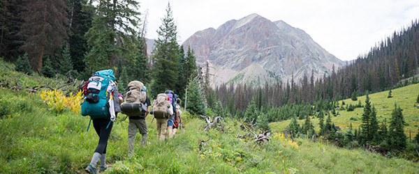 Several students with large backpacks hiking in lush alpine forest towards a rocky peak.